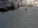 DSCN1843.jpg&nbsp;&nbsp;91.5Ko