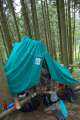 DSC_0740.JPG&nbsp;&nbsp;1.44Mo