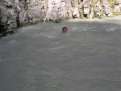 DSCN1842.jpg&nbsp;&nbsp;98.9Ko