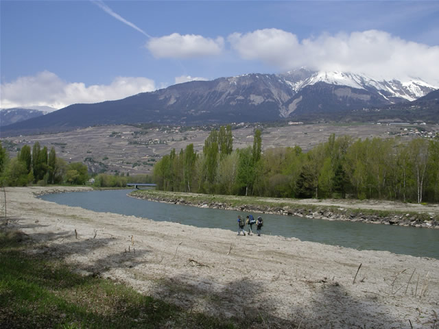 imgp0109.jpg