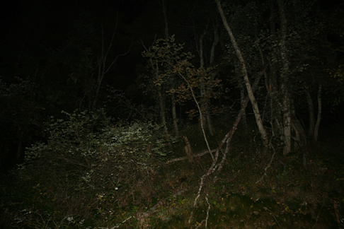 IMG_1187.jpg