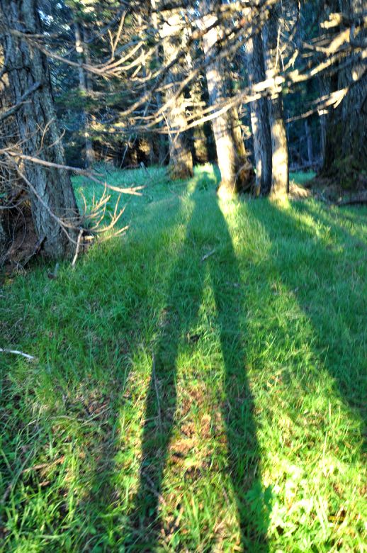 DSC_1276.JPG