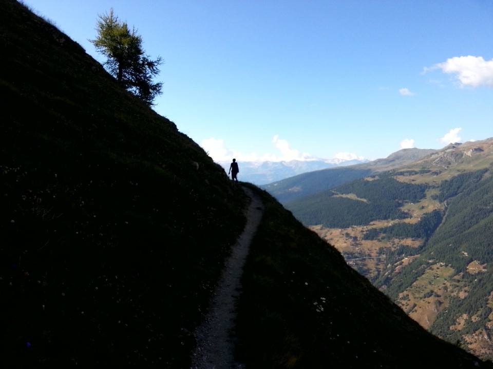 WP_20150721_001.jpg