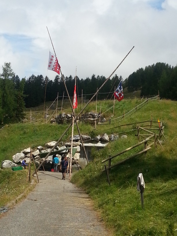WP_20150723_002.jpg