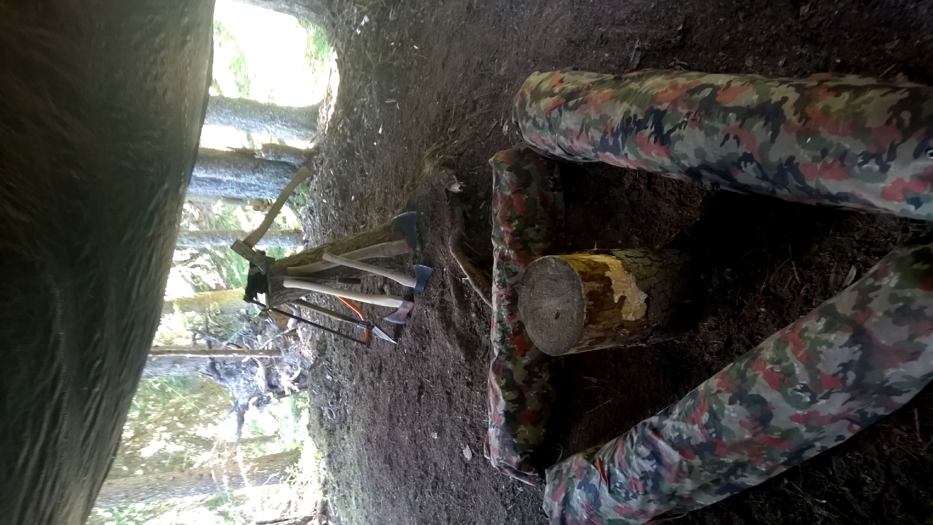 WP_20180727_027.jpg